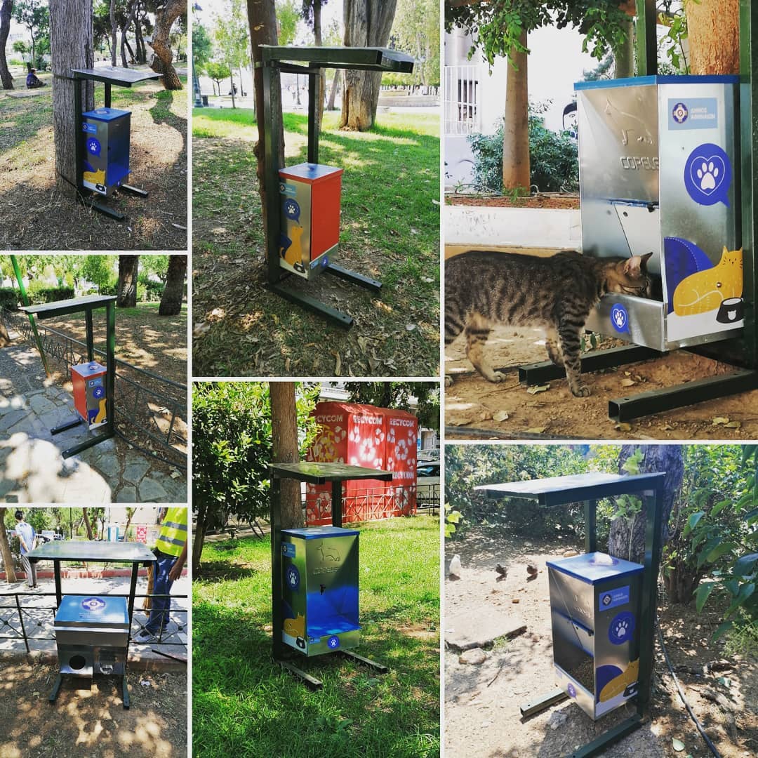 City of Athens Stray feeders