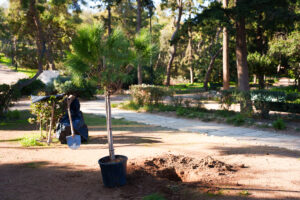 Δήμος Αθηναίων: Το Πράσινο Ταμείο ενέκρινε χρηματοδότηση για την ανάπλαση και ανάδειξη του Λόφου του Φιλοπάππου