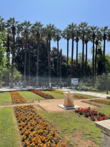 Κλειστός ο Εθνικός Κήπος λόγω ισχυρών ριπών ανέμου στην Αττική