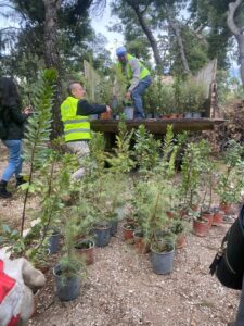 Δήμος Αθηναίων: 500 νέα δέντρα στο Άλσος Ιλισίων