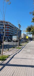 Δήμος Αθηναίων: 90 γιακαράντες στη Λεωφόρο Β. Κωνσταντίνου